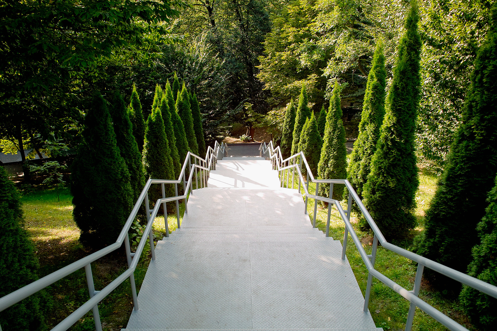 Sigma Foveon, photo 8 of 22