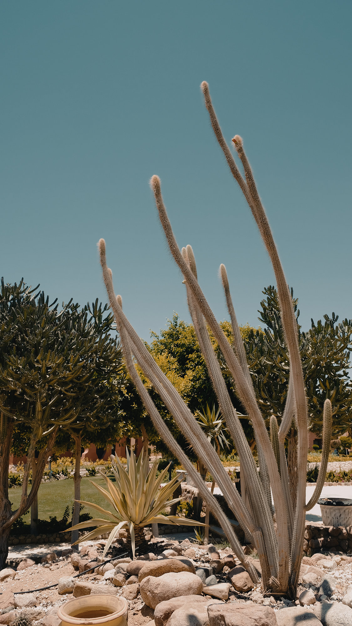 Random Moments - Fujifilm X-T2, photo 13