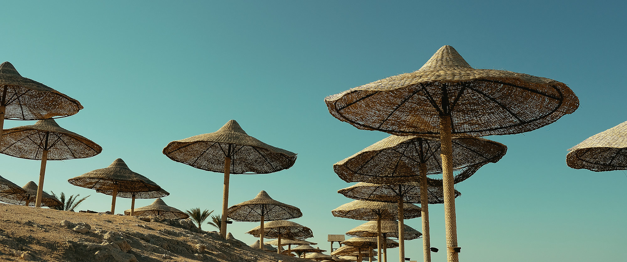 Random Moments - Fujifilm X-T2, photo 15