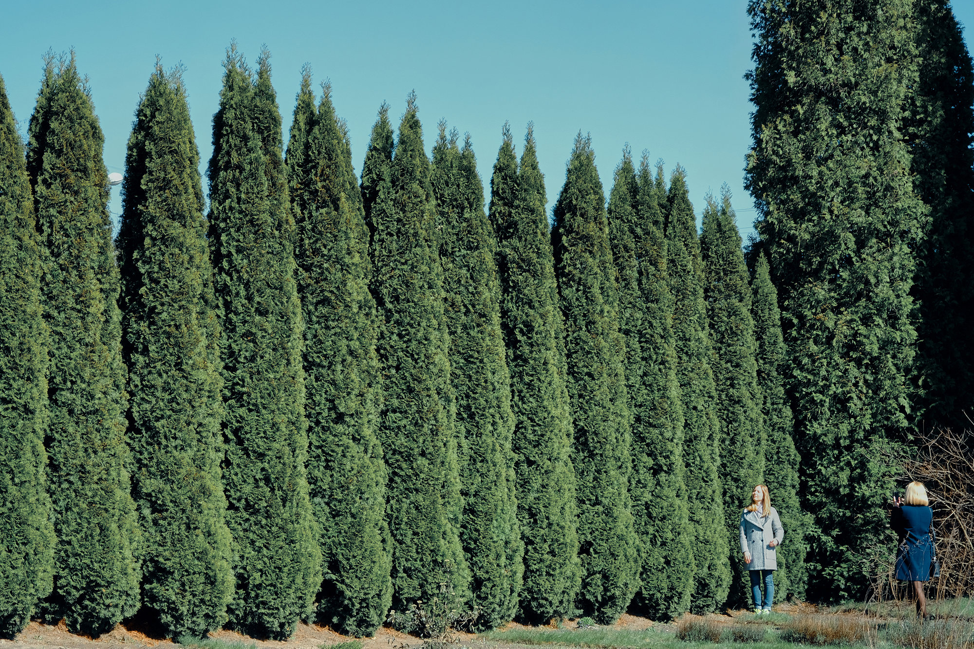 Random Moments - Fujifilm X-T2, photo 25