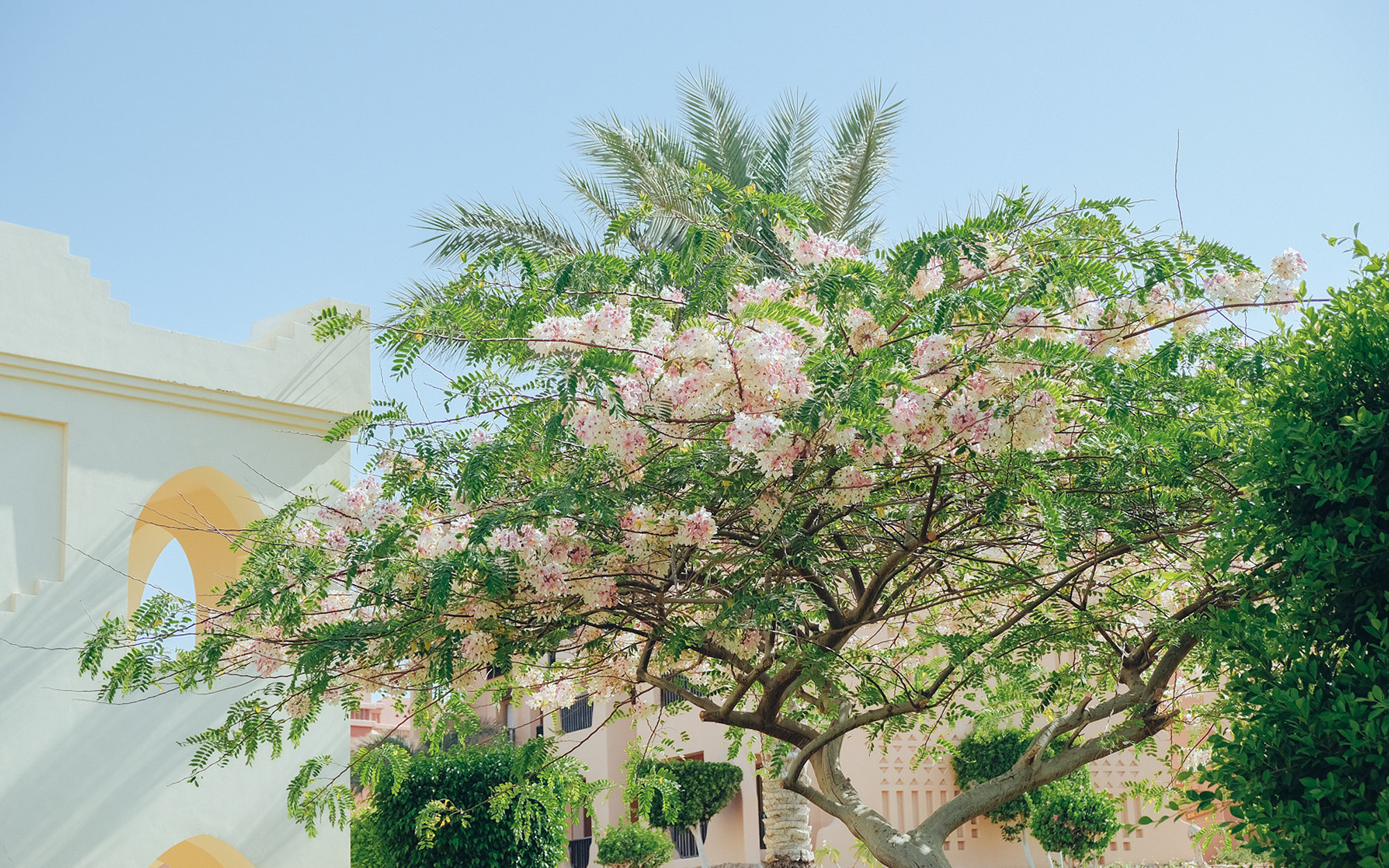 Random Moments - Fujifilm X-T2, photo 31