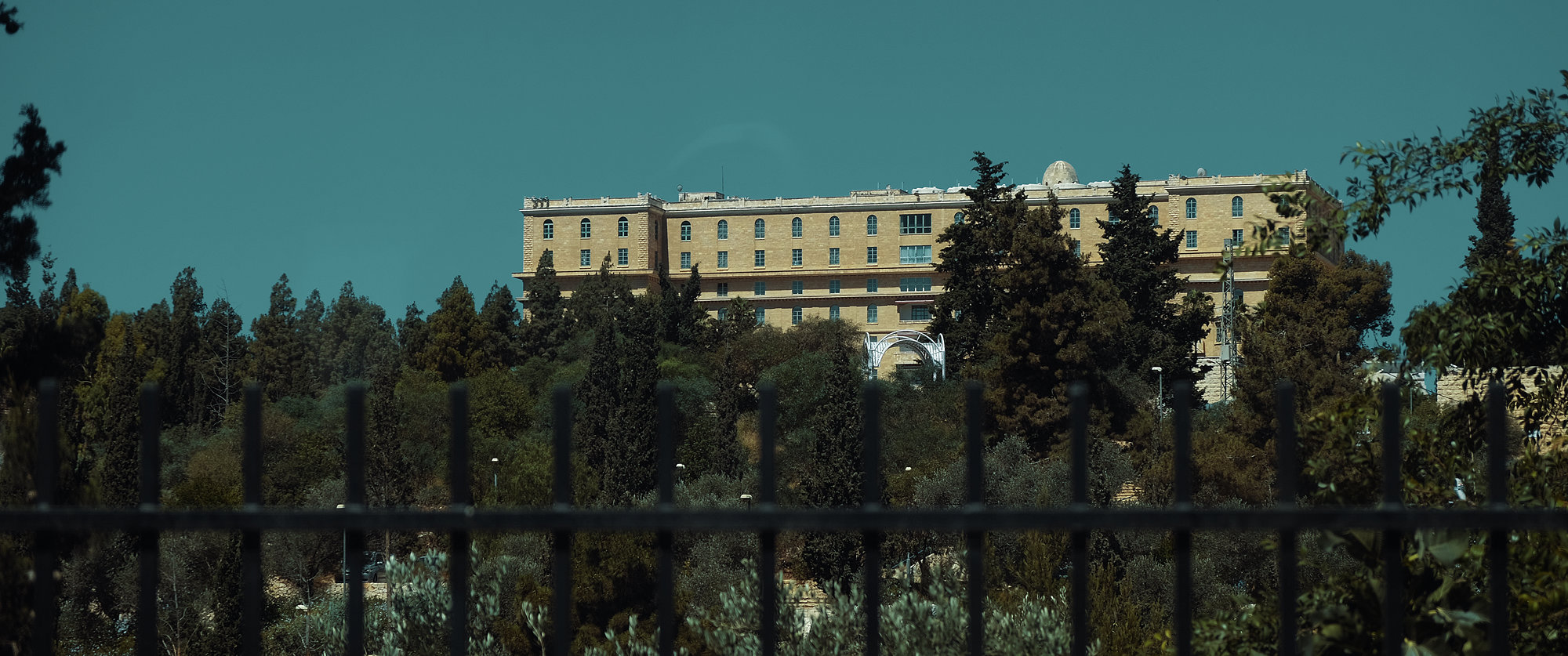 Random Moments - Fujifilm X-T2, photo 34