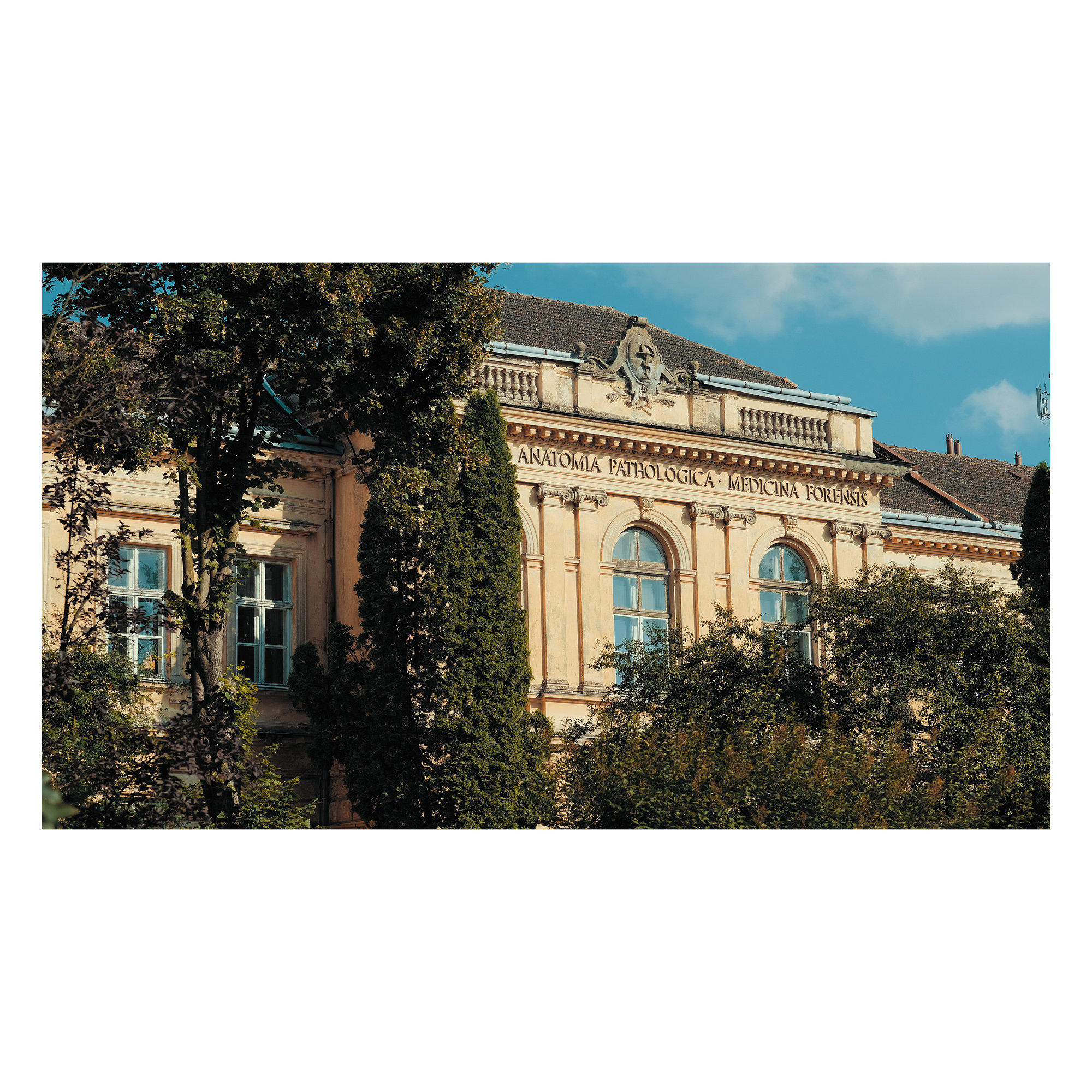 Random Moments - Fujifilm X-T2, photo 68