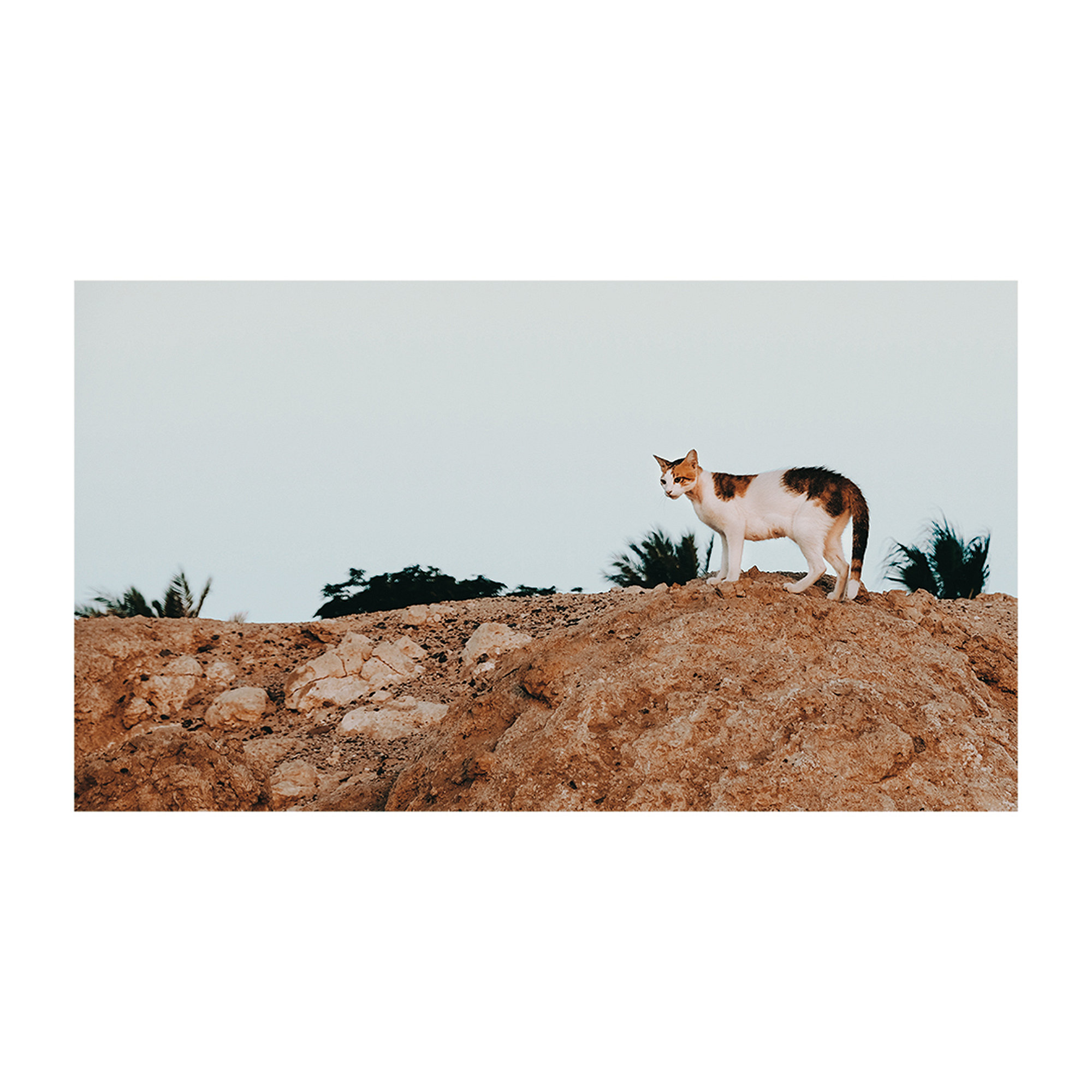 Random Moments - Fujifilm X-T2, photo 69