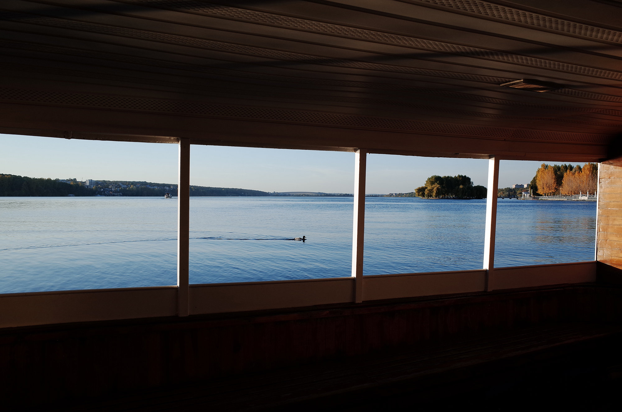 Random Moments - Fujifilm X-T2, photo 3