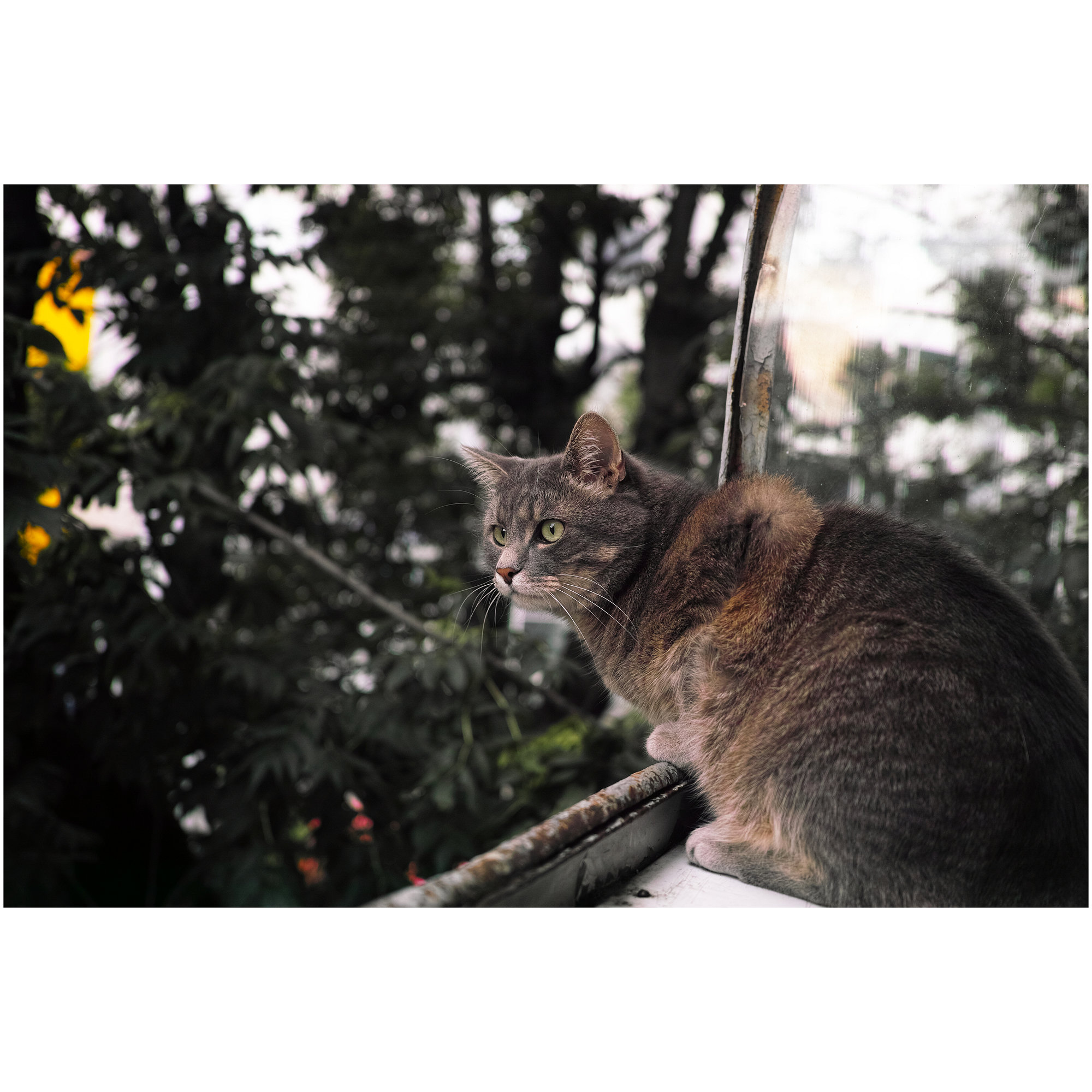 Random Moments - Fujifilm X-T2, photo 7