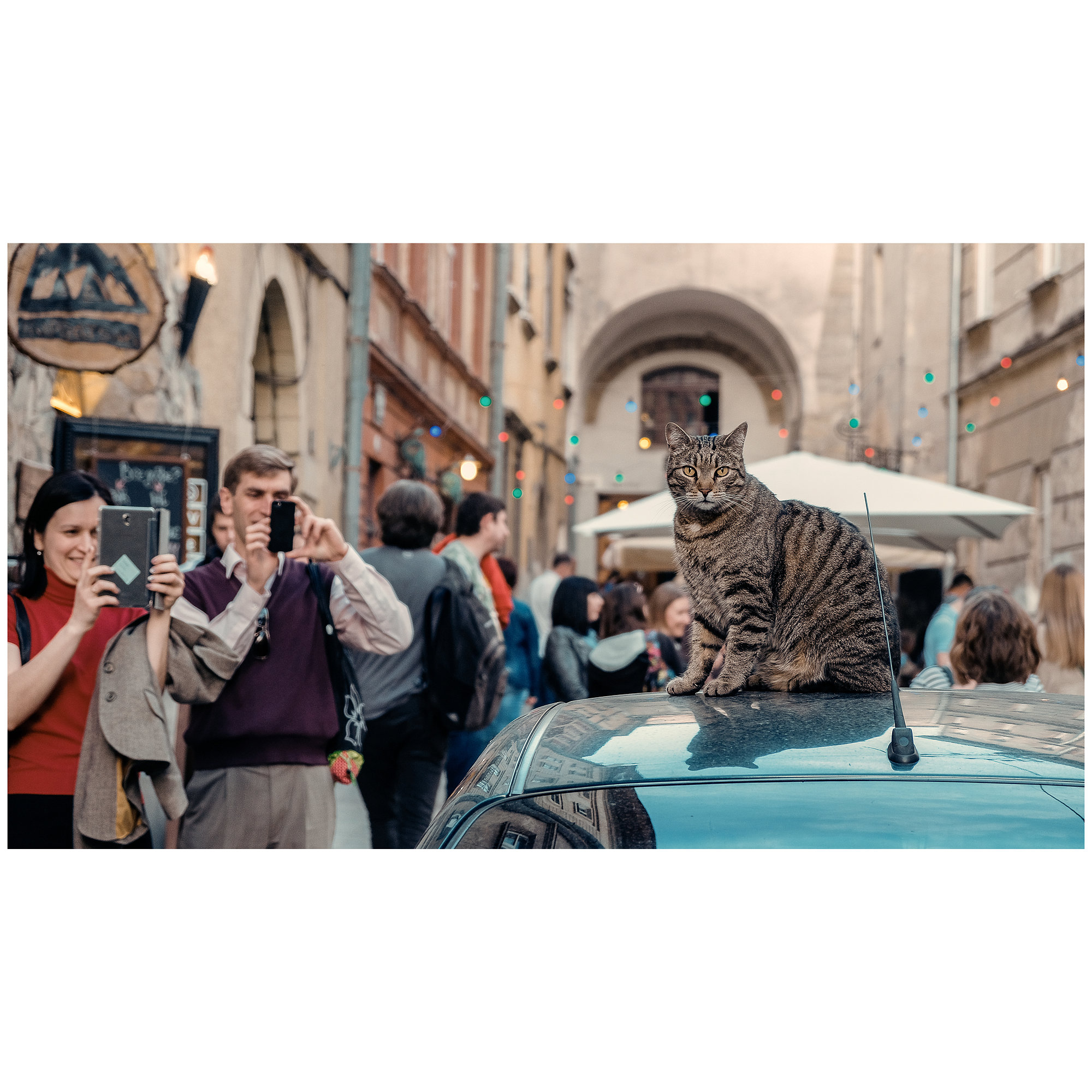 Random Moments - Fujifilm X-T2, photo 8