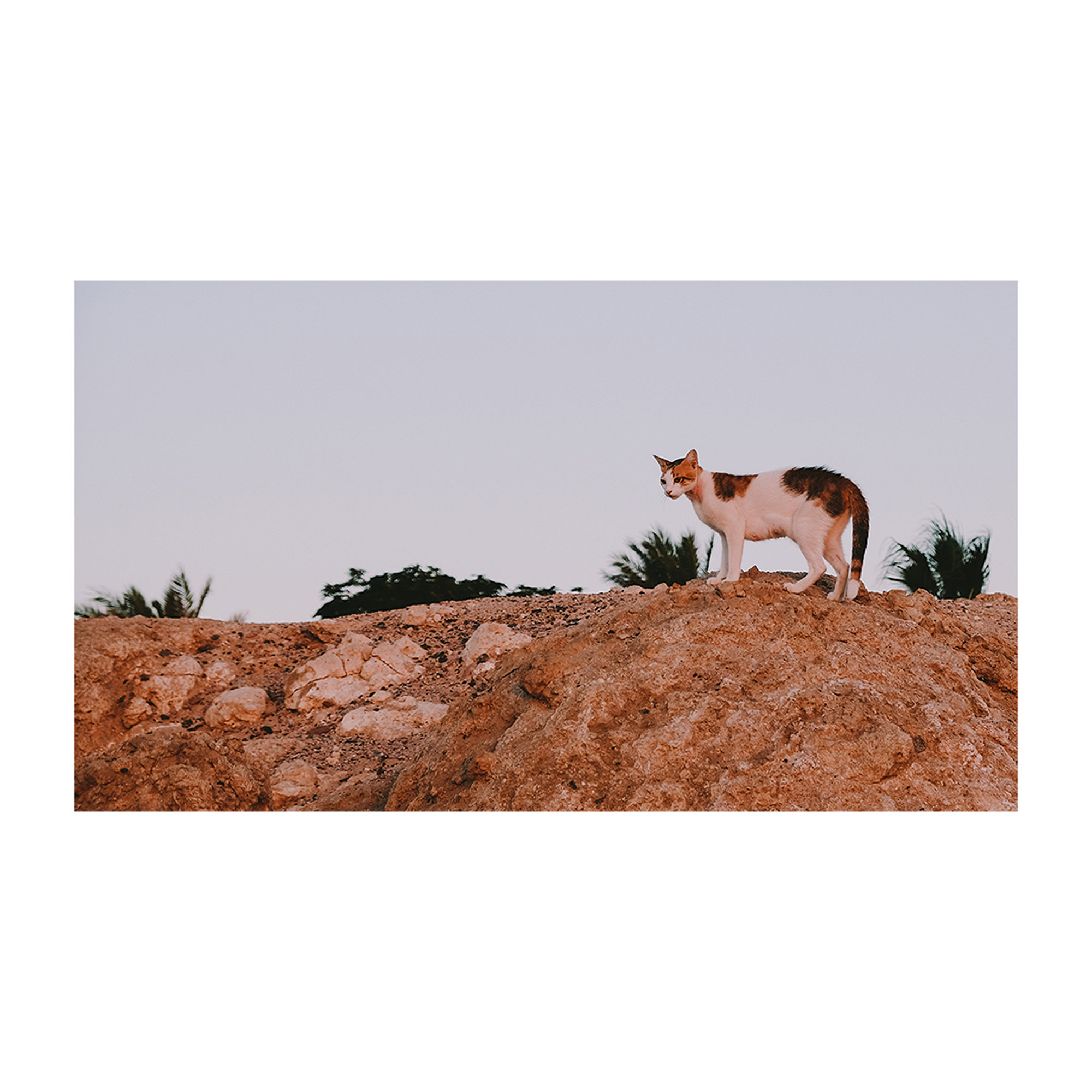 Random Moments - Fujifilm X-T2, photo 37