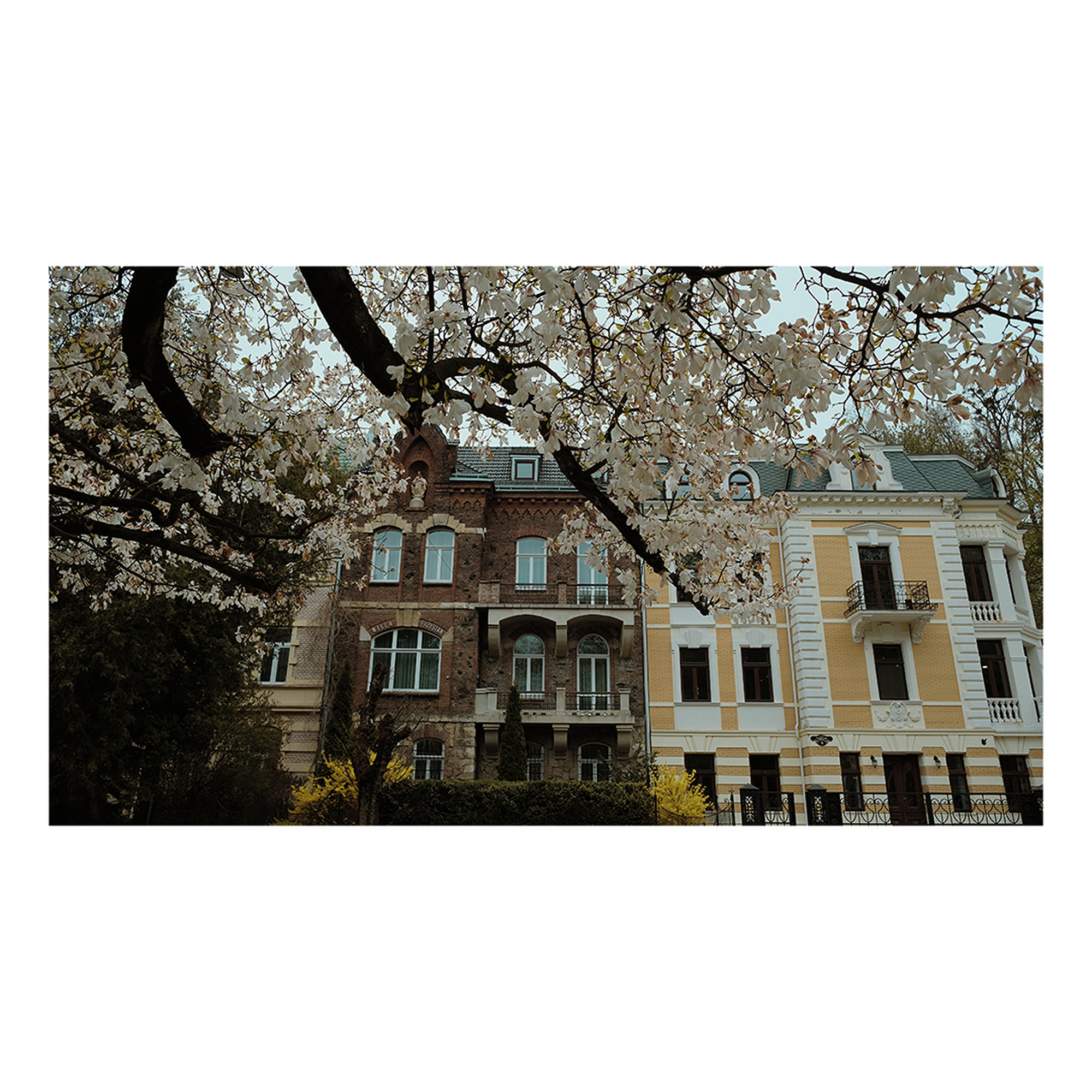 Random Moments - Fujifilm X-T2, photo 53