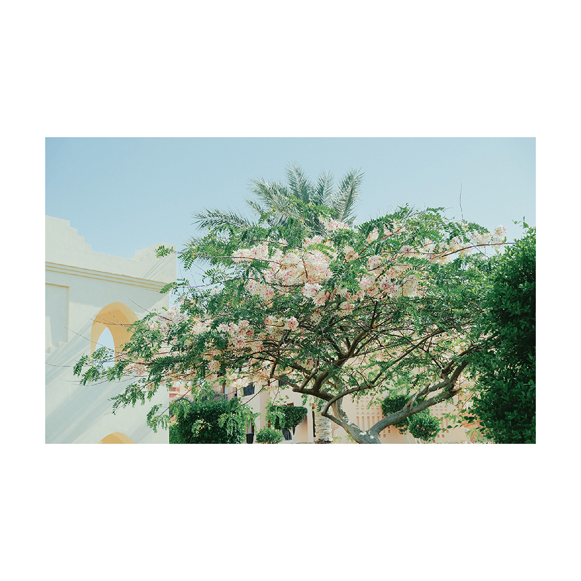 Random Moments - Fujifilm X-T2, photo 56