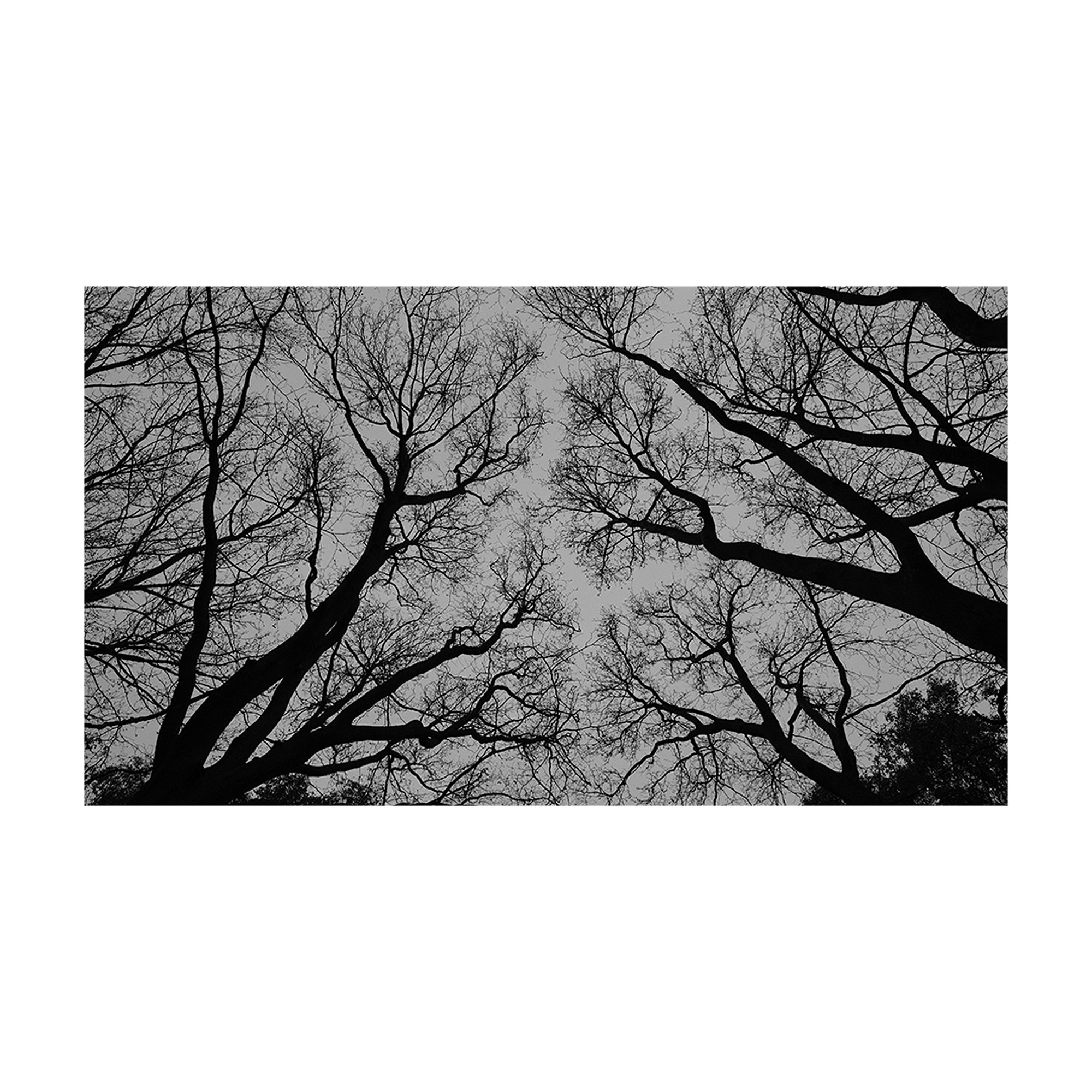 Random Moments - Fujifilm X-T2, photo 57