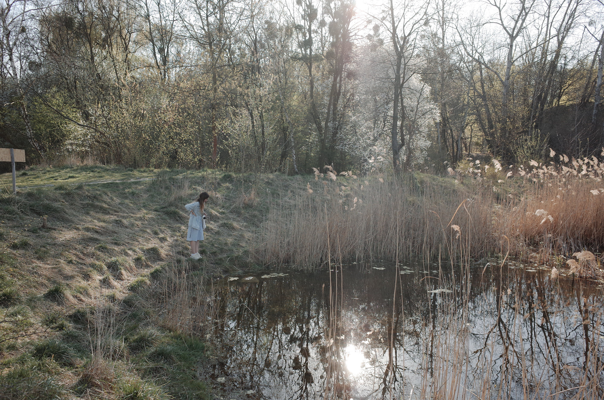 Lake - Ricoh GR II, photo 10