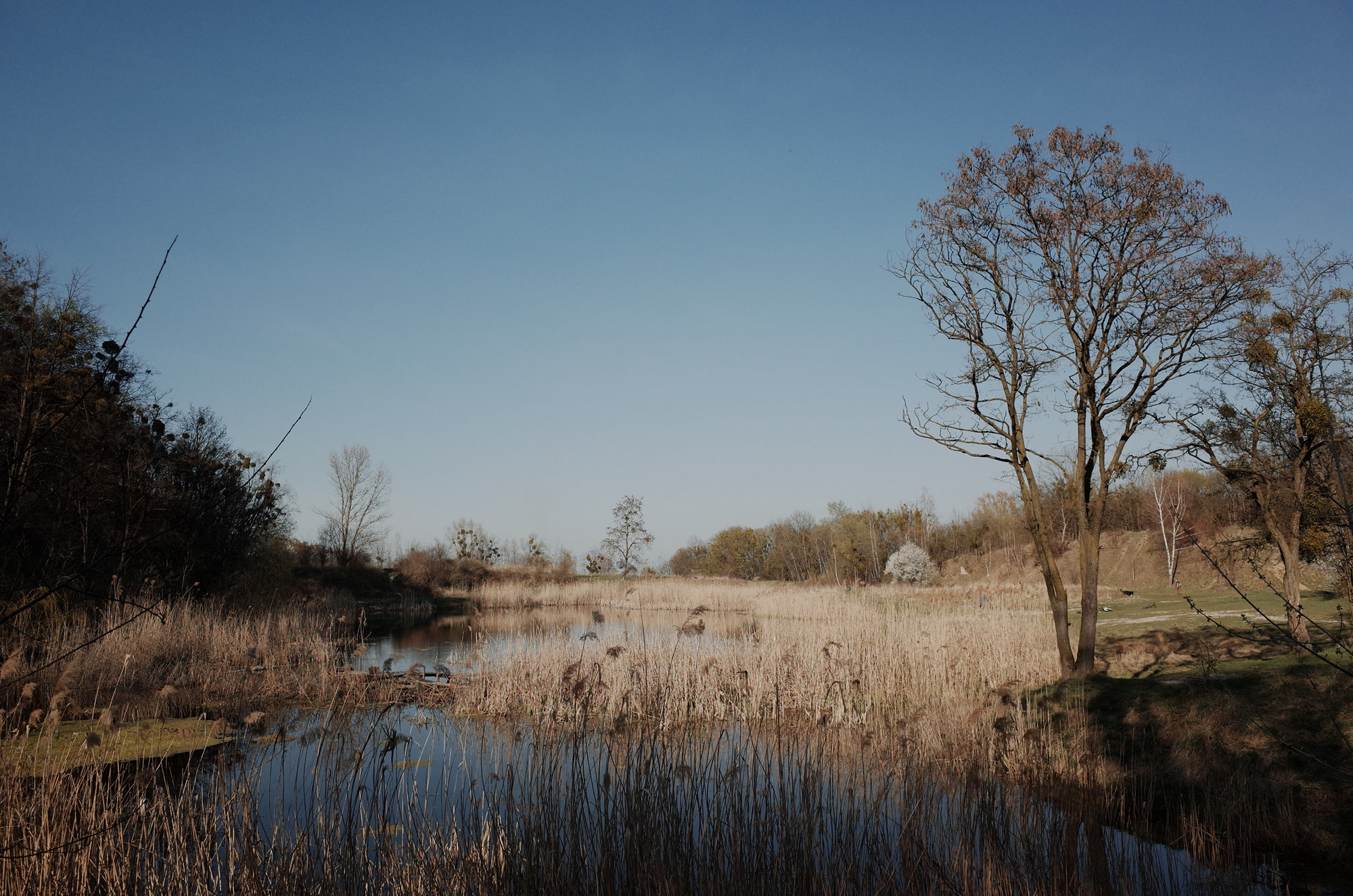 Lake - Ricoh GR II, photo 1