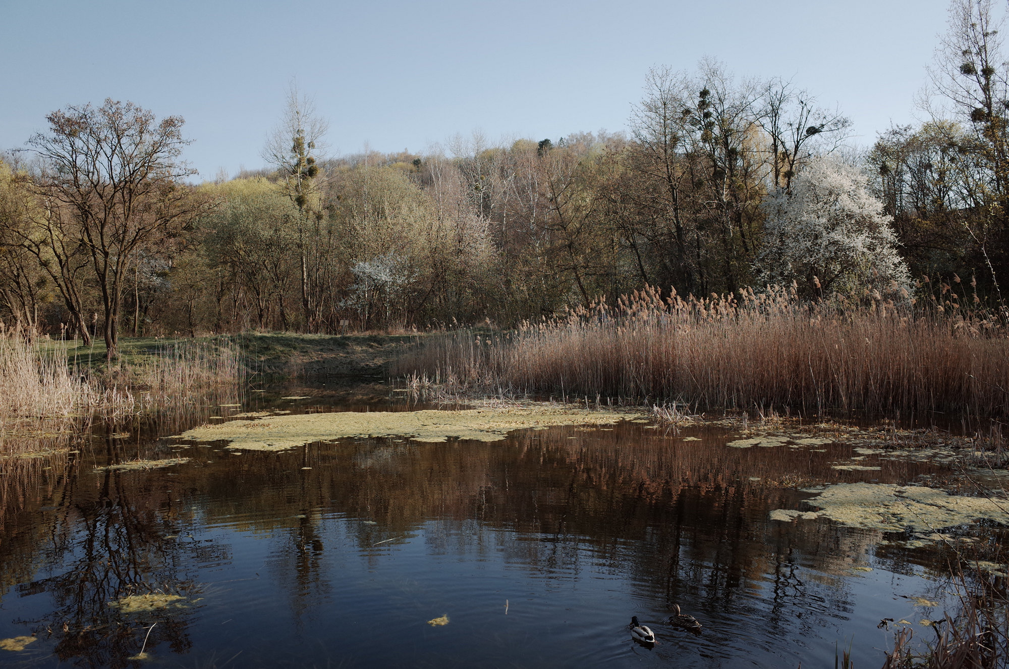 Lake - Ricoh GR II, photo 4