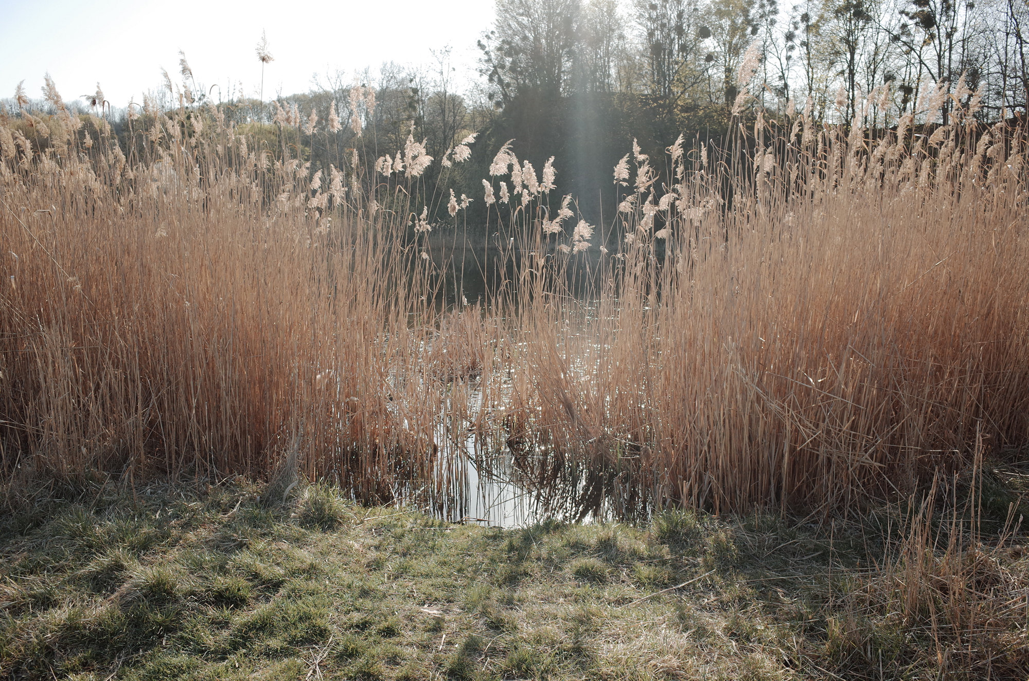 Lake - Ricoh GR II, photo 11